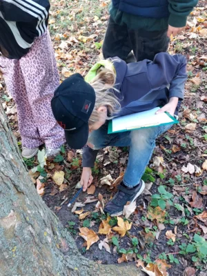 Foto des Albums: Natur erkunden Kl. 4 🌳 🍂