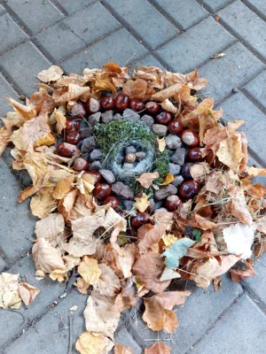 Foto des Albums: Natur erkunden Kl. 4 🌳 🍂