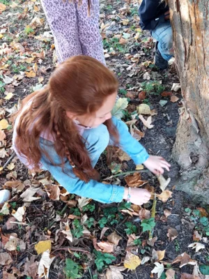 Foto des Albums: Natur erkunden Kl. 4 🌳 🍂