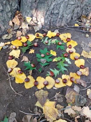 Foto des Albums: Natur erkunden Kl. 4 🌳 🍂