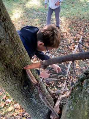 Foto des Albums: Natur erkunden Kl. 4 🌳 🍂
