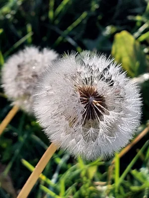 Foto des Albums: Natur erkunden Kl. 4 🌳 🍂