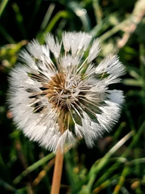 Foto des Albums: Natur erkunden Kl. 4 🌳 🍂