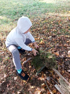 Foto des Albums: Natur erkunden Kl. 4 🌳 🍂