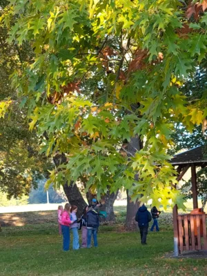 Foto des Albums: Natur erkunden Kl. 4 🌳 🍂