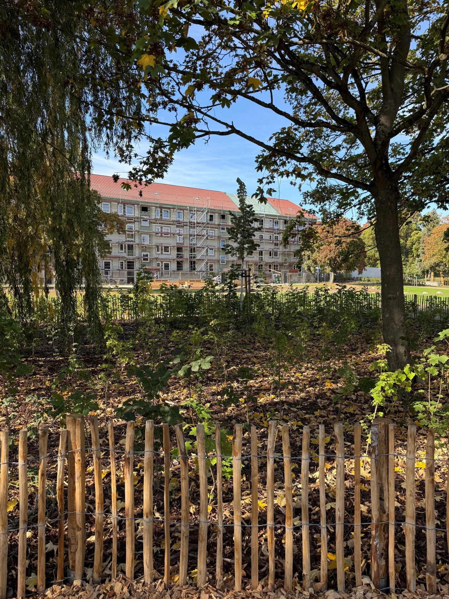 Bild: Modellquartier (Mikrowald) und Modellblock