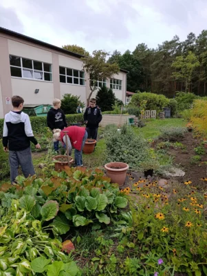 Foto des Albums: Garten AG (09.​10.​2026)
