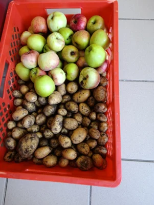Foto des Albums: Garten AG (09.​10.​2026)