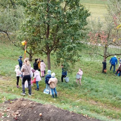 Foto des Albums: Die 1. Klassen pressen Apfelsaft im Obstlehrgarten