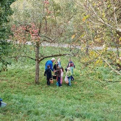 Foto des Albums: Die 1. Klassen pressen Apfelsaft im Obstlehrgarten
