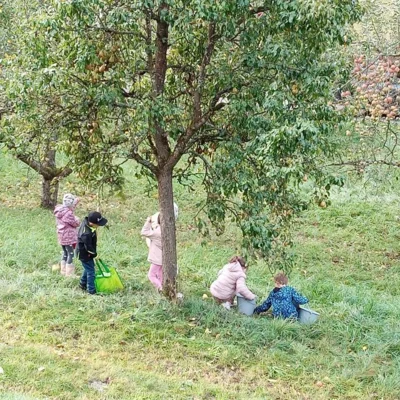 Foto des Albums: Die 1. Klassen pressen Apfelsaft im Obstlehrgarten