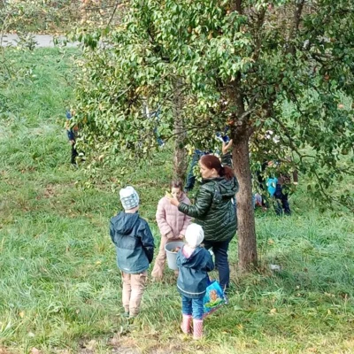 Foto des Albums: Die 1. Klassen pressen Apfelsaft im Obstlehrgarten