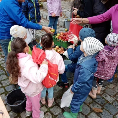Foto des Albums: Die 1. Klassen pressen Apfelsaft im Obstlehrgarten