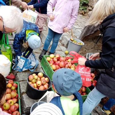Foto des Albums: Die 1. Klassen pressen Apfelsaft im Obstlehrgarten