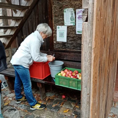 Foto des Albums: Die 1. Klassen pressen Apfelsaft im Obstlehrgarten