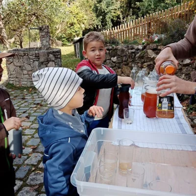 Foto des Albums: Die 1. Klassen pressen Apfelsaft im Obstlehrgarten