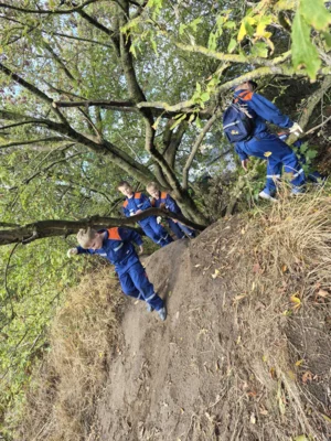 Foto des Albums: Einsatz für eine saubere Gemeinde