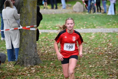 Foto des Albums: 17. Bersenbrücker Hase-Lauf 2026