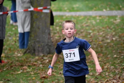 Foto des Albums: 17. Bersenbrücker Hase-Lauf 2026