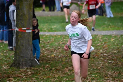 Foto des Albums: 17. Bersenbrücker Hase-Lauf 2026