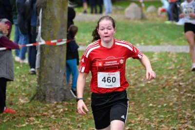 Foto des Albums: 17. Bersenbrücker Hase-Lauf 2026