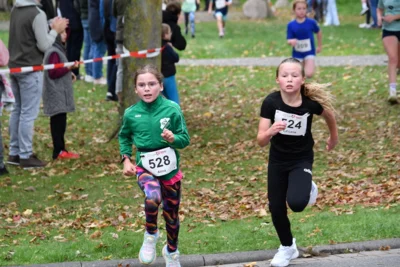 Foto des Albums: 17. Bersenbrücker Hase-Lauf 2026