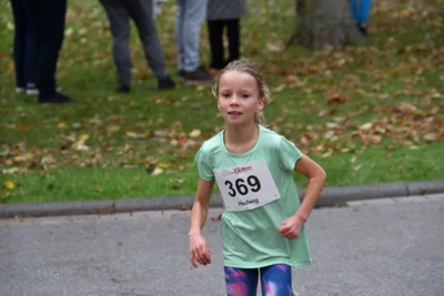 Foto des Albums: 17. Bersenbrücker Hase-Lauf 2026
