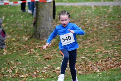 Foto des Albums: 17. Bersenbrücker Hase-Lauf 2026