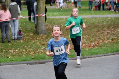 Foto des Albums: 17. Bersenbrücker Hase-Lauf 2026