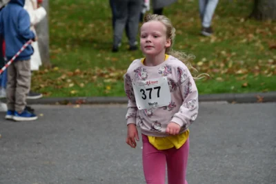 Foto des Albums: 17. Bersenbrücker Hase-Lauf 2026