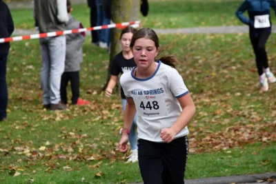 Foto des Albums: 17. Bersenbrücker Hase-Lauf 2026