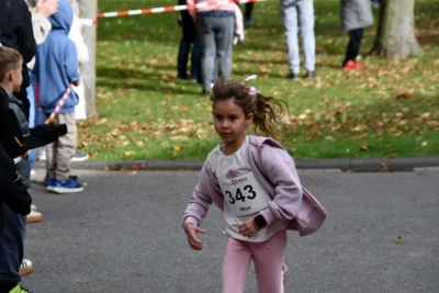 Foto des Albums: 17. Bersenbrücker Hase-Lauf 2026