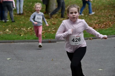 Foto des Albums: 17. Bersenbrücker Hase-Lauf 2026