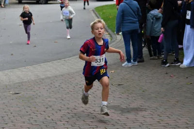 Foto des Albums: 17. Bersenbrücker Hase-Lauf 2026