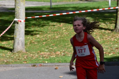 Foto des Albums: 17. Bersenbrücker Hase-Lauf 2026