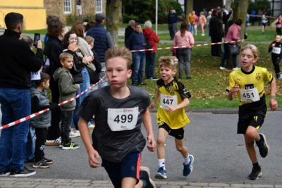 Foto des Albums: 17. Bersenbrücker Hase-Lauf 2026