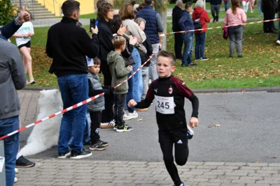 Foto des Albums: 17. Bersenbrücker Hase-Lauf 2026