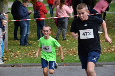 Foto des Albums: 17. Bersenbrücker Hase-Lauf 2026