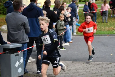 Foto des Albums: 17. Bersenbrücker Hase-Lauf 2026
