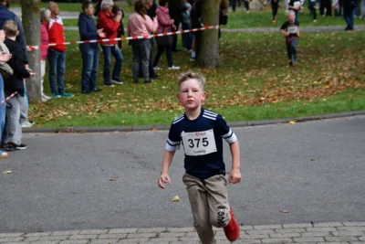 Foto des Albums: 17. Bersenbrücker Hase-Lauf 2026