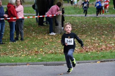 Foto des Albums: 17. Bersenbrücker Hase-Lauf 2026