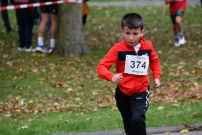 Foto des Albums: 17. Bersenbrücker Hase-Lauf 2026