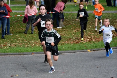 Foto des Albums: 17. Bersenbrücker Hase-Lauf 2026