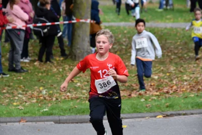 Foto des Albums: 17. Bersenbrücker Hase-Lauf 2026