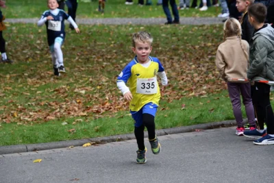 Foto des Albums: 17. Bersenbrücker Hase-Lauf 2026