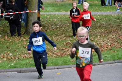 Foto des Albums: 17. Bersenbrücker Hase-Lauf 2026