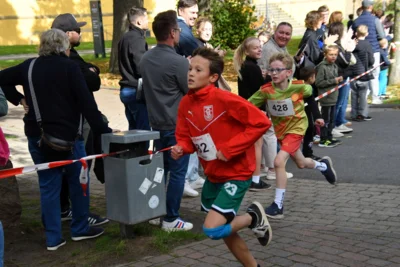 Foto des Albums: 17. Bersenbrücker Hase-Lauf 2026