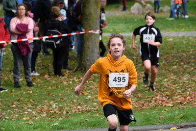 Foto des Albums: 17. Bersenbrücker Hase-Lauf 2026