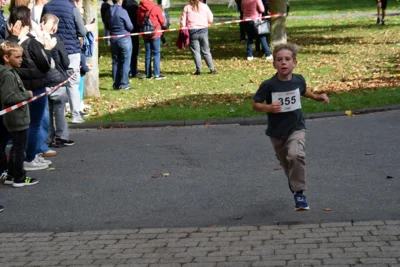 Foto des Albums: 17. Bersenbrücker Hase-Lauf 2026