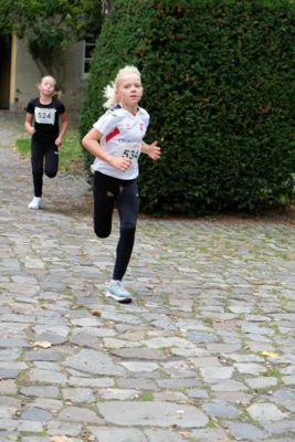 Foto des Albums: 17. Bersenbrücker Hase-Lauf 2026